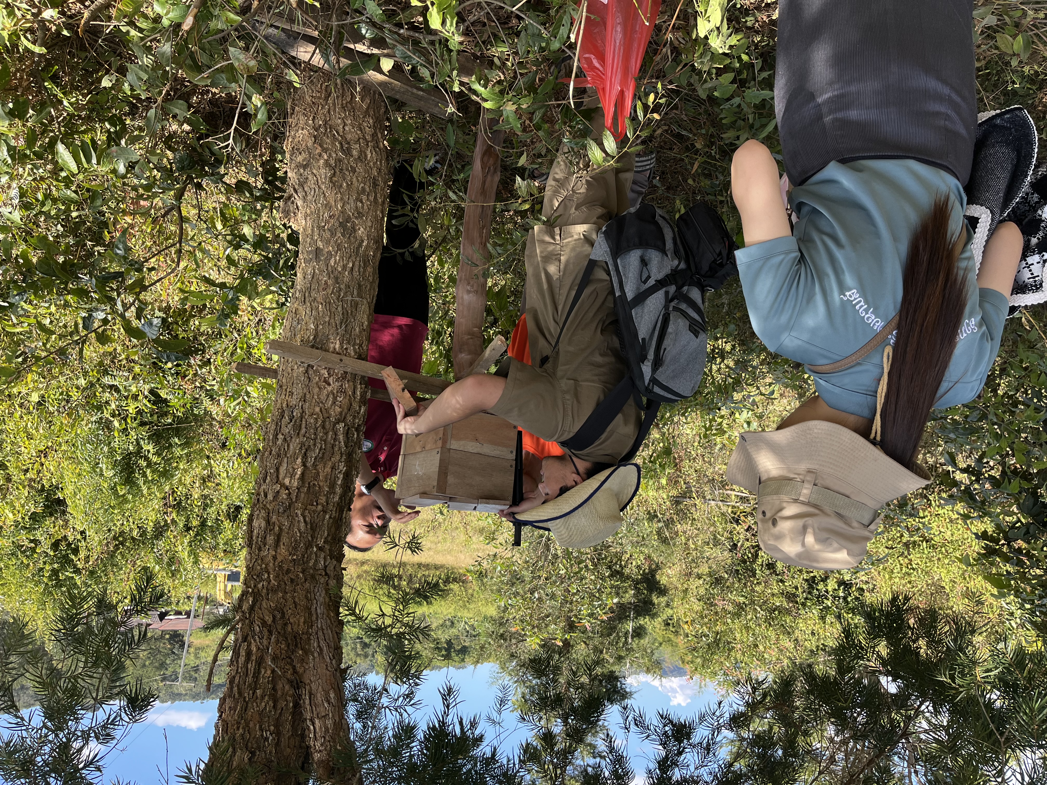 養蜂の専門家による指導