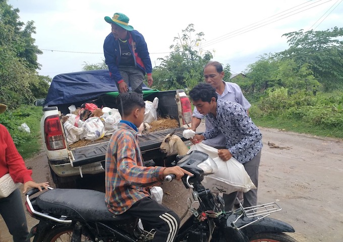 【カンボジア】追加のヤギの購入と飼育訓練を村人たちへ