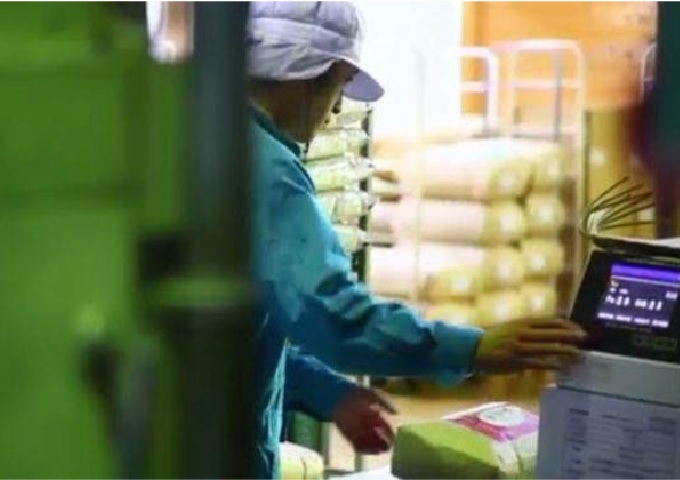 【佐賀】ふるさと納税　返礼品「佐賀のお米」提供業者のご紹介：唐房米穀さま