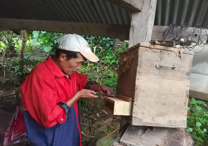 現地調達素材でできるスズメバチ対策を紹介