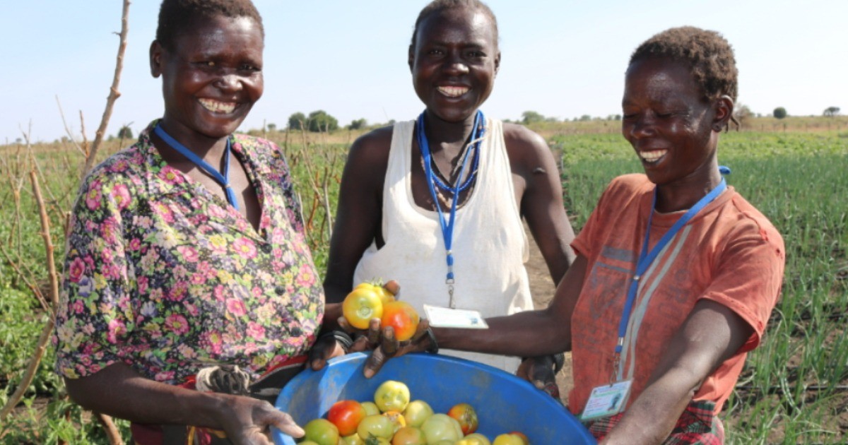 【ウガンダ】笑顔の収穫～農業で育む地域の明るい未来～
