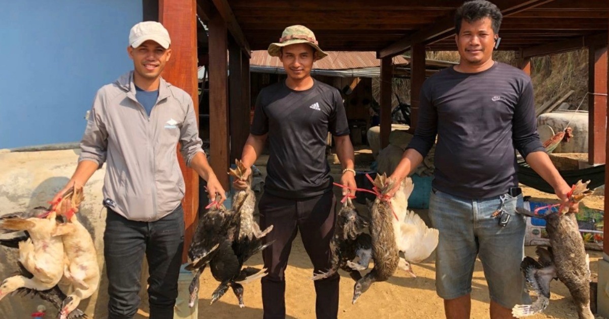 【カンボジア】家畜飼育支援制度、2ターン目が始まります！