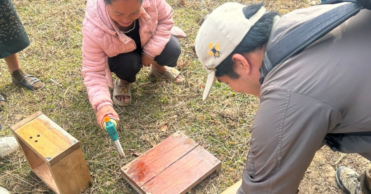 【ラオス】ラオス不発弾汚染地での「養蜂モニタリング」記