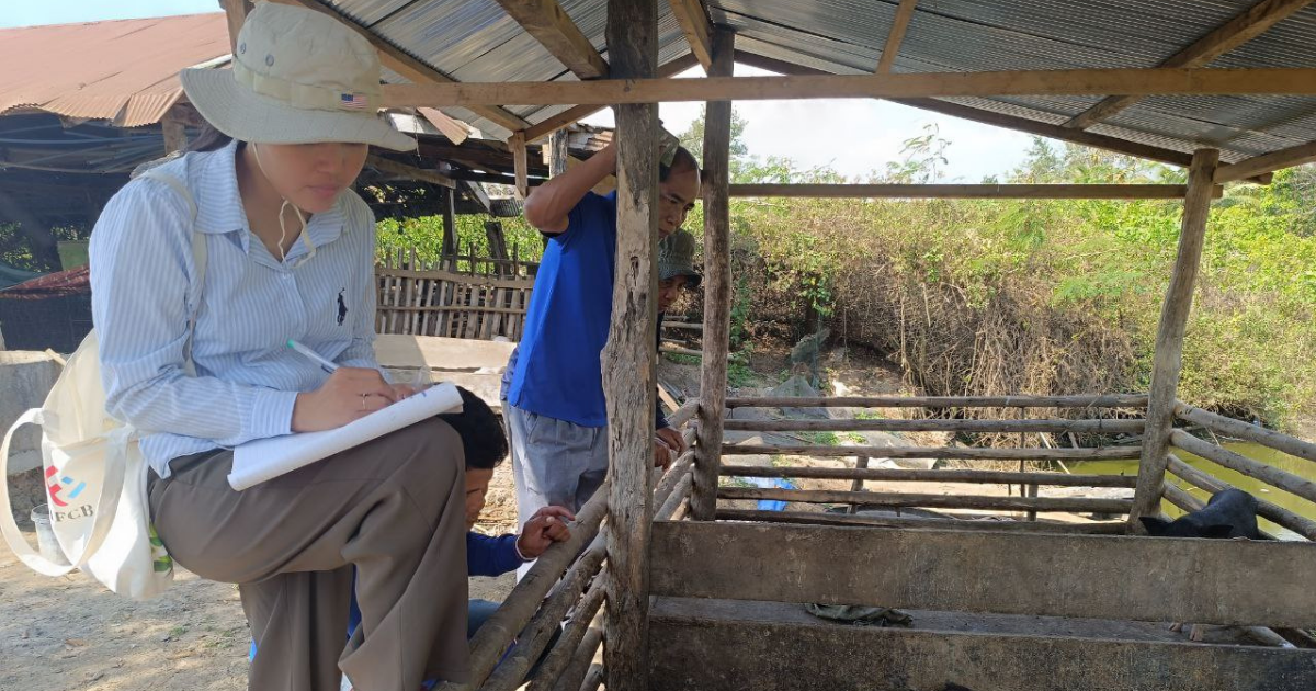 【カンボジア】紛争を乗り越えて豚飼育で貴重な収入