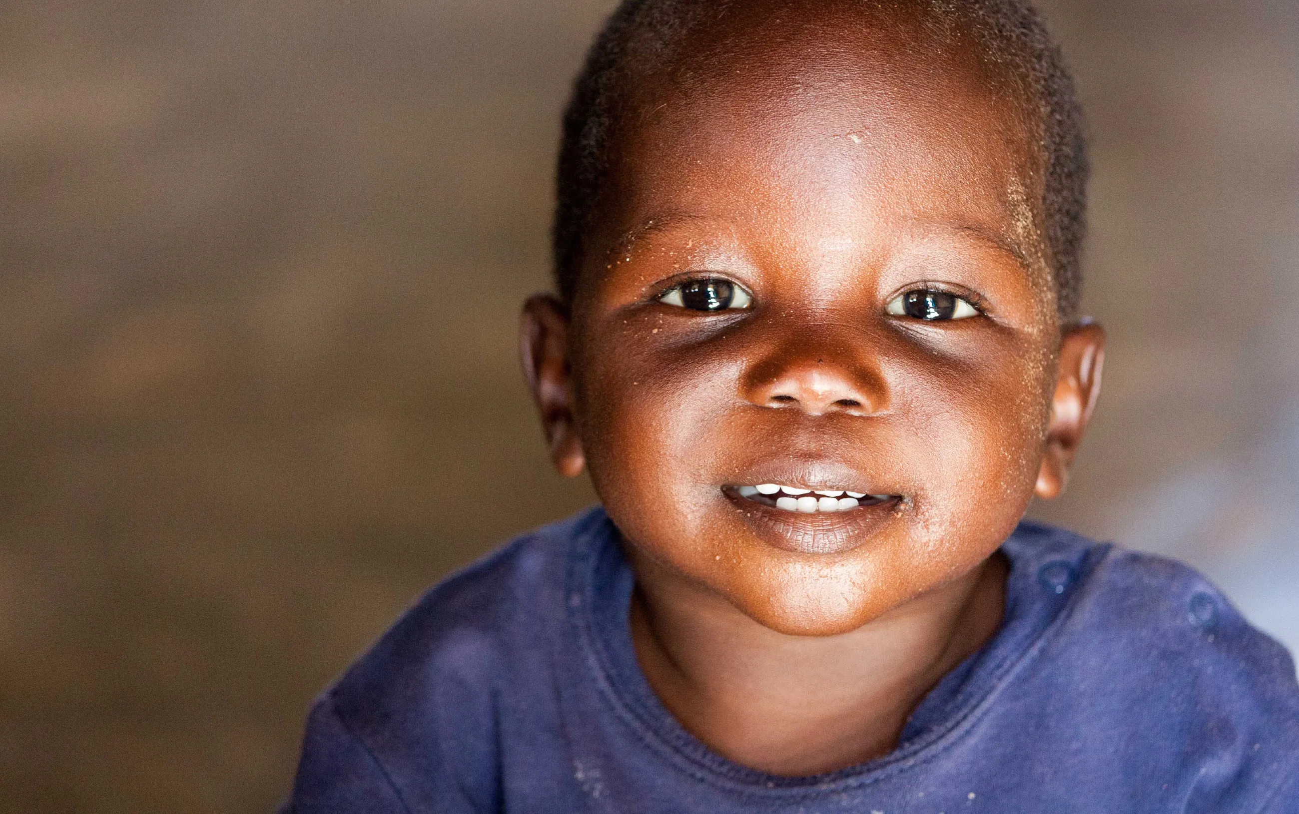 テラ・ルネッサンスについて