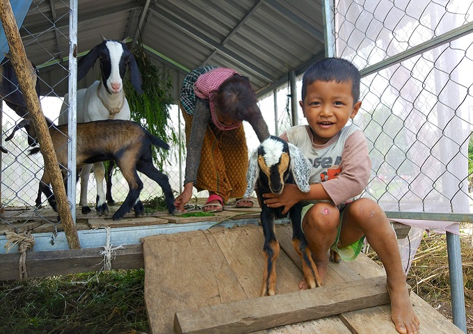 【カンボジア】ヤギ飼育世帯
