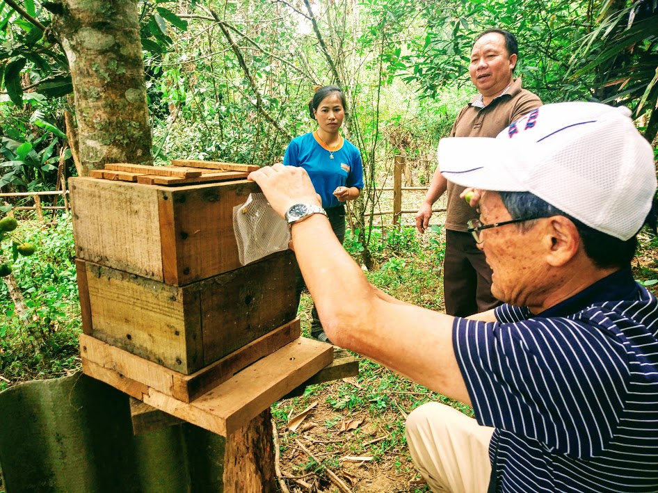 【ラオス】ラオスの東洋ミツバチへの誘引剤の試験を実施