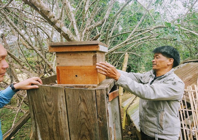 【ラオス】ラオスの東洋ミツバチへの誘引剤の試験結果