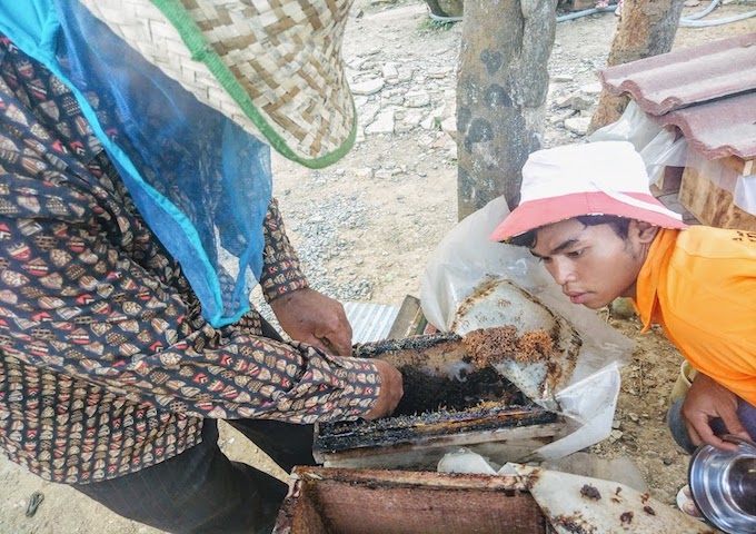 【カンボジア】ハリナシミツバチの蜂蜜、カンボジアで初めての製品化へ準備 