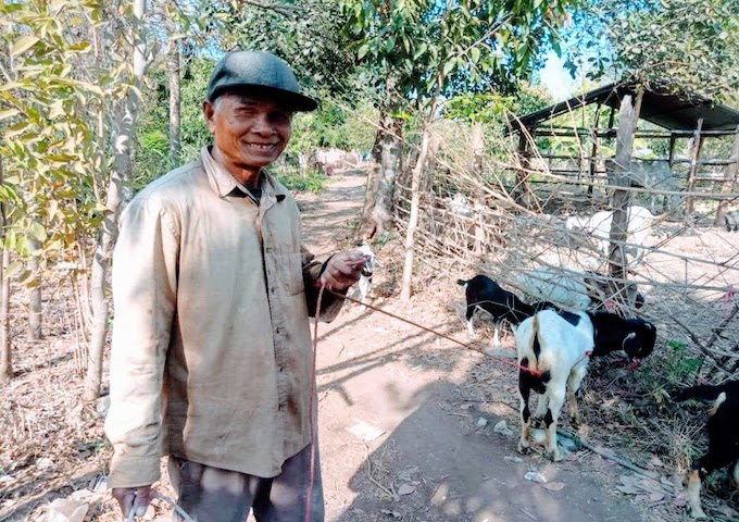 【カンボジア】複数の家畜飼育で、借金が膨らむ換金作物への依存を脱却へ