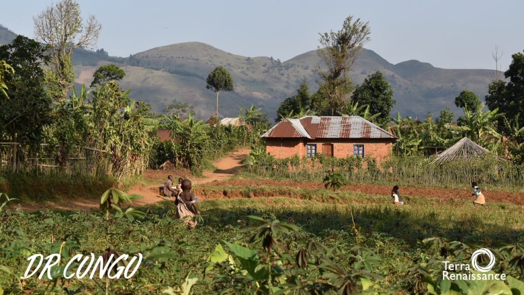 コンゴ民主共和国 (DR Congo ) コンゴ民主共和国 (DR Congo )