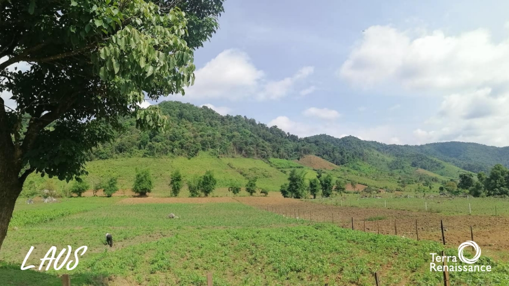 ラオス人民民主共和国 ( Laos ) ラオス人民民主共和国 ( Laos )