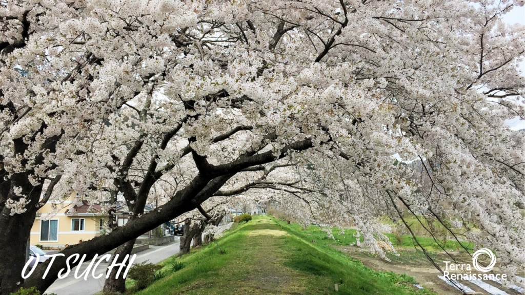 日本 大槌 ( Japan Otsuchi ) 日本 大槌 ( Japan Otsuchi )