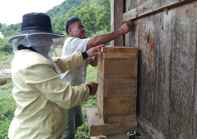 【ラオス】キノコ栽培や養蜂など、訓練受講者のフォローアップ