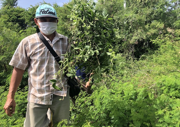 【カンボジア】土地の自然を活かした問題解決へ