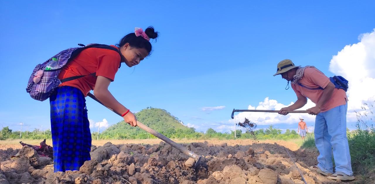 【カンボジア】モデルファームで実践による農業訓練を実施