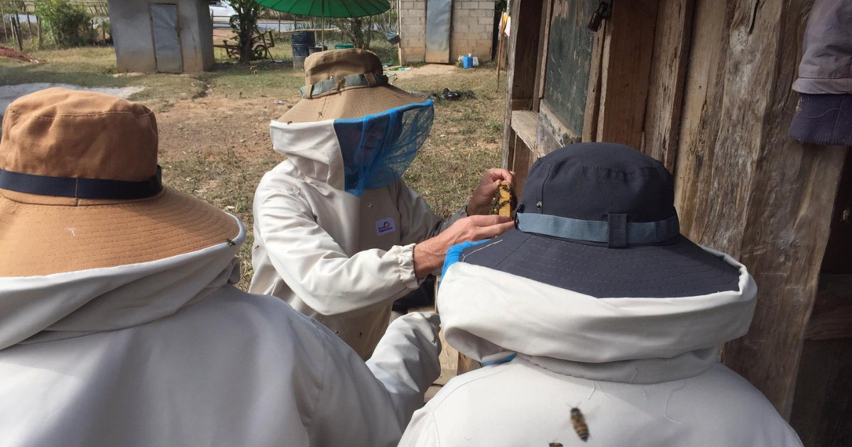 【ラオス】フランス人養蜂専門家による指導