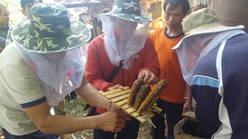 ラオス・シエンクアン県での養蜂プロジェクト